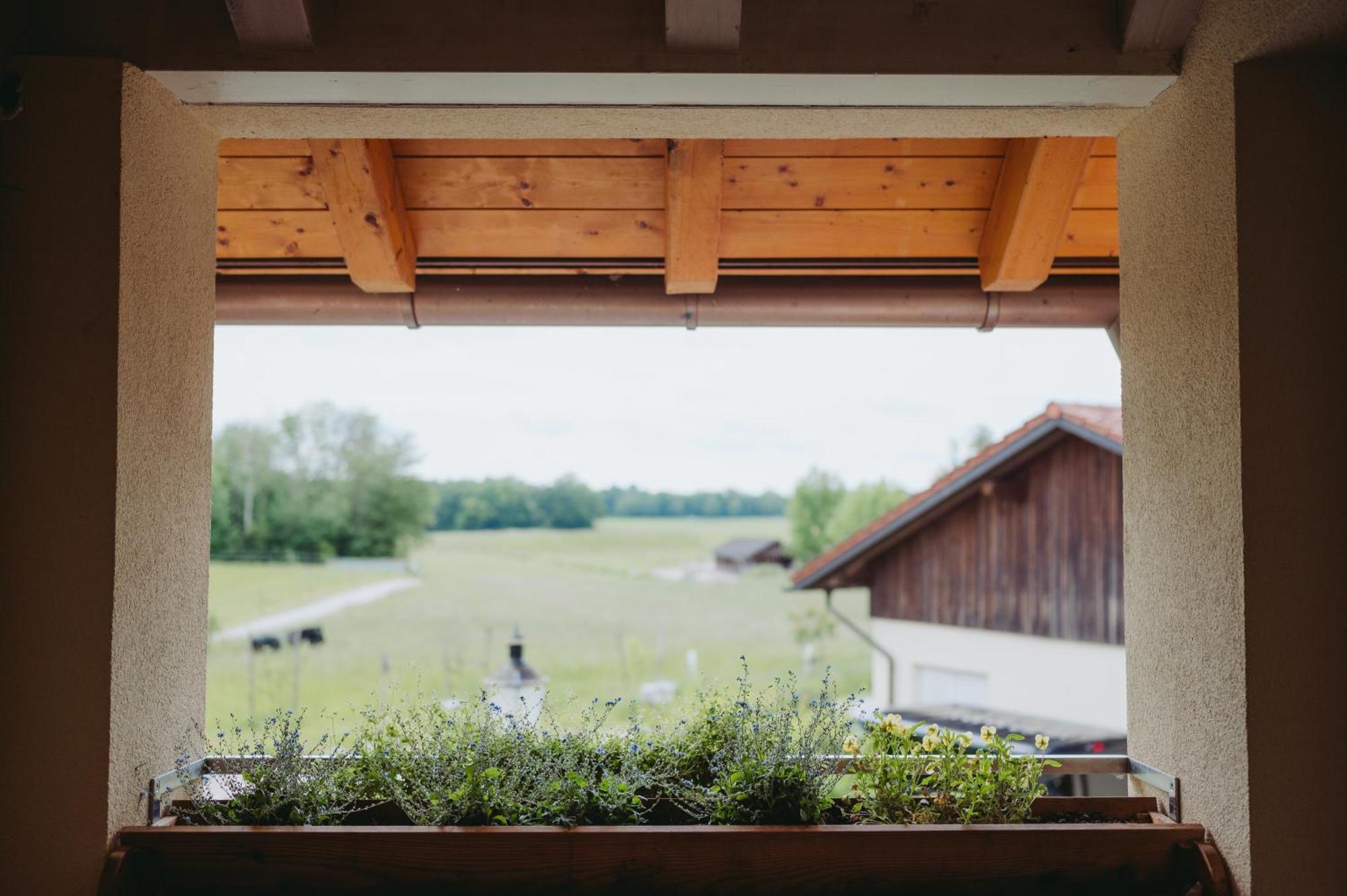 Ferienwohnungen Gut Mischenried Weßling Buitenkant foto